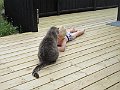 IMG_3138