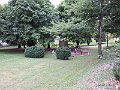 IMG_2359