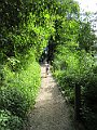 IMG_2500