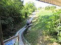 IMG_1969