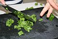IMG_9331