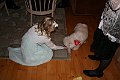 IMG_9916