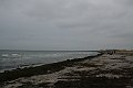 IMG_0128