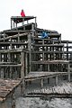 IMG_0139