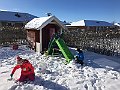 IMG_1229