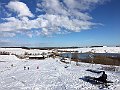 IMG_1236