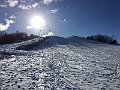 IMG_1237