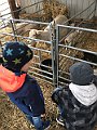 IMG_1865