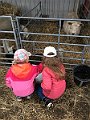 IMG_1867