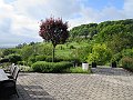 IMG_3229