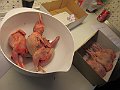 IMG_3256