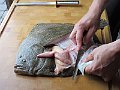 IMG_3257