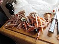 IMG_3269