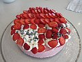 IMG_3504