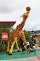 IMG_0460
