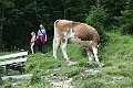 IMG_0880