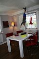 IMG_0925