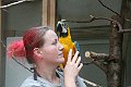 IMG_0976
