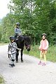 IMG_1231