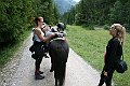 IMG_1240