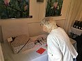 IMG_4628