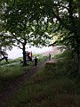 IMG_4381