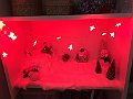 IMG_5878