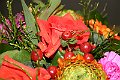 IMG_2083