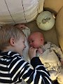 IMG_7528