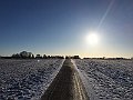 IMG_8317