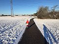 IMG_8319