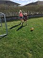IMG_8948