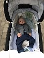 IMG_9859