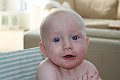 IMG_2741