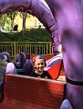 IMG_0349