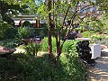 IMG_0526