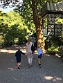 IMG_0530