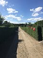 IMG_3186