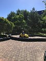 IMG_0987