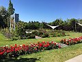 IMG_1036