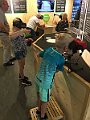IMG_1050
