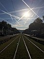 IMG_1218