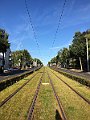 IMG_1219