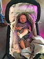 IMG_1306