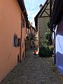 IMG_1951