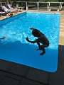 IMG_2337