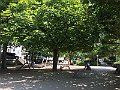IMG_2418