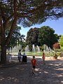 IMG_2447