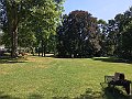 IMG_2448