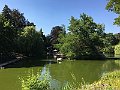 IMG_2477